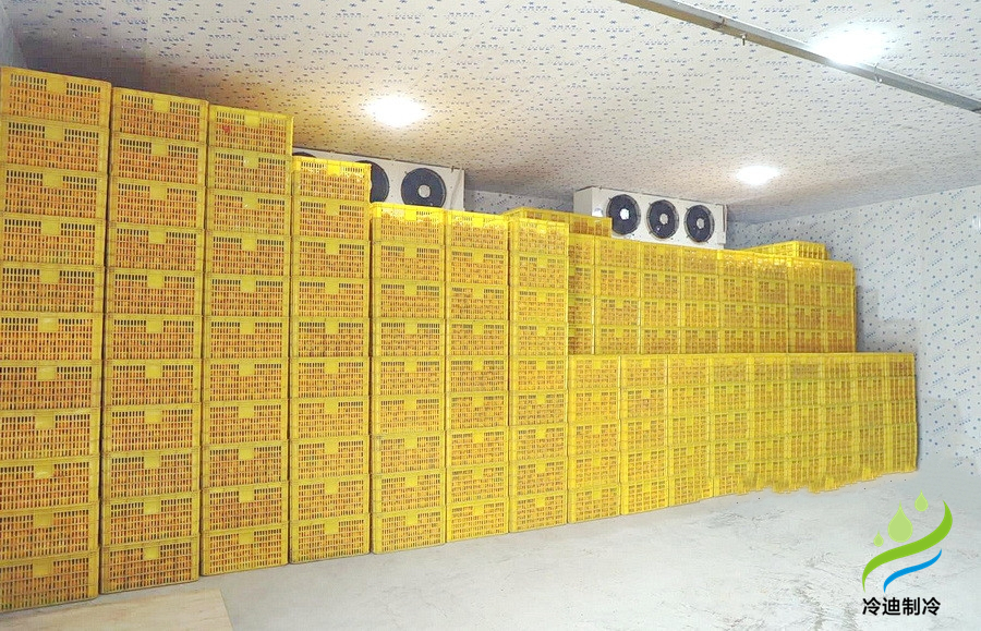 建造一個橙子冷庫需要多少錢？(圖2)